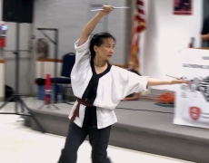 Martial Arts Demo